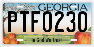 GA license plate PTF0230