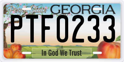 GA license plate PTF0233