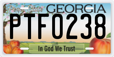 GA license plate PTF0238