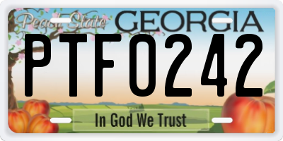 GA license plate PTF0242