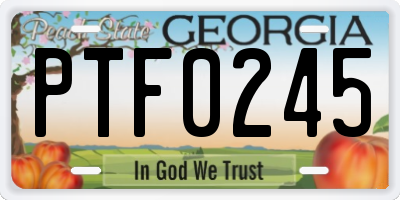 GA license plate PTF0245
