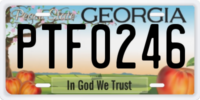 GA license plate PTF0246