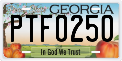 GA license plate PTF0250