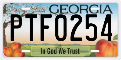 GA license plate PTF0254