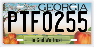 GA license plate PTF0255