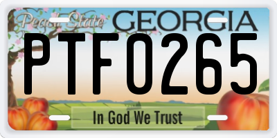 GA license plate PTF0265