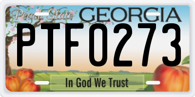 GA license plate PTF0273