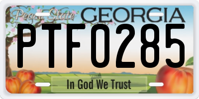 GA license plate PTF0285