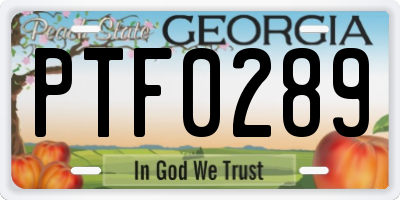 GA license plate PTF0289