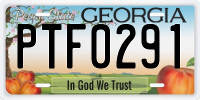 GA license plate PTF0291