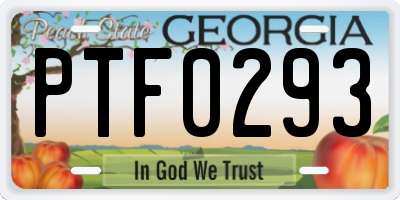 GA license plate PTF0293