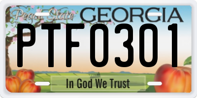 GA license plate PTF0301