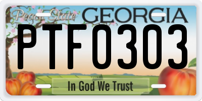 GA license plate PTF0303