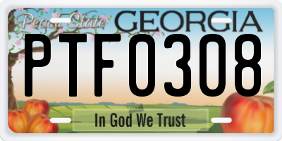 GA license plate PTF0308