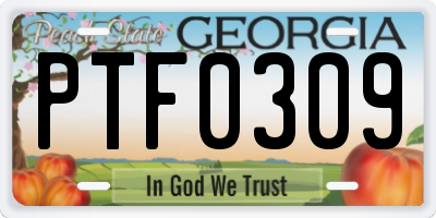 GA license plate PTF0309