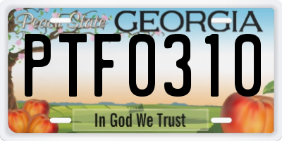 GA license plate PTF0310
