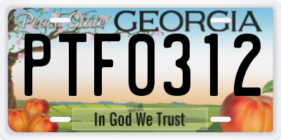 GA license plate PTF0312