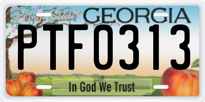 GA license plate PTF0313
