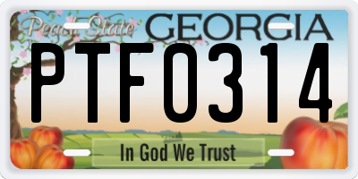GA license plate PTF0314
