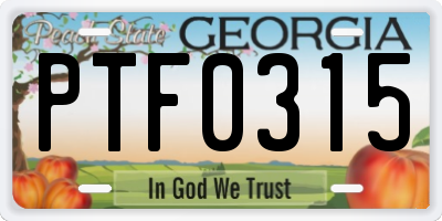 GA license plate PTF0315