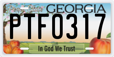 GA license plate PTF0317