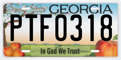 GA license plate PTF0318