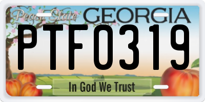 GA license plate PTF0319
