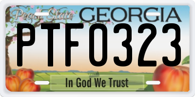 GA license plate PTF0323