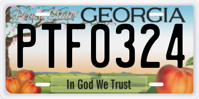 GA license plate PTF0324