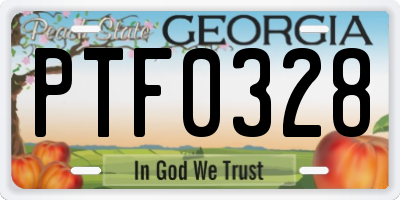 GA license plate PTF0328