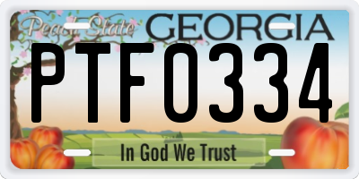GA license plate PTF0334