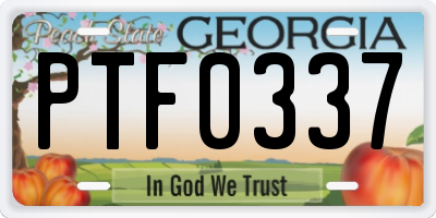 GA license plate PTF0337