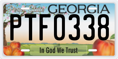 GA license plate PTF0338