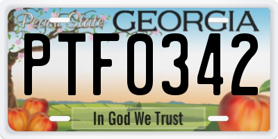 GA license plate PTF0342