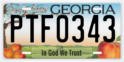 GA license plate PTF0343