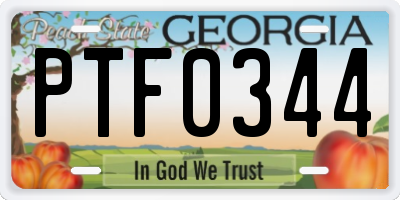GA license plate PTF0344