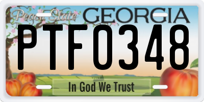 GA license plate PTF0348