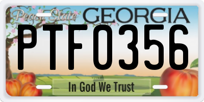 GA license plate PTF0356