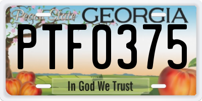 GA license plate PTF0375