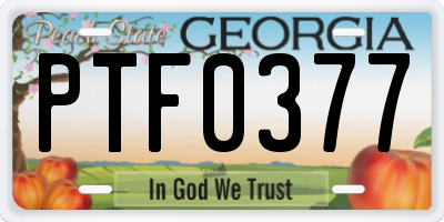 GA license plate PTF0377