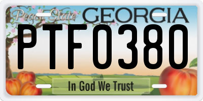 GA license plate PTF0380