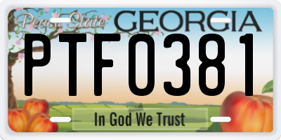 GA license plate PTF0381