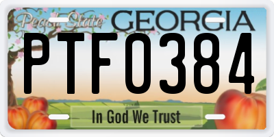 GA license plate PTF0384