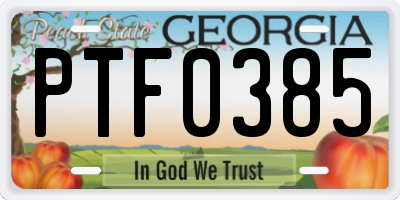 GA license plate PTF0385