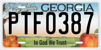 GA license plate PTF0387