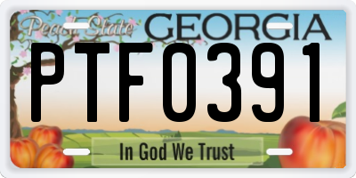 GA license plate PTF0391