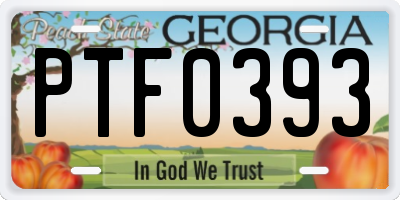 GA license plate PTF0393