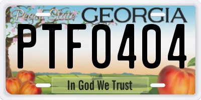 GA license plate PTF0404