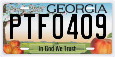 GA license plate PTF0409