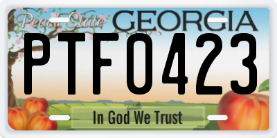 GA license plate PTF0423